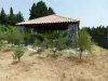 Grand terrain de la vente de notre maison d'hôte - gîte à vendre avec piscine à Perpignan (5).webp